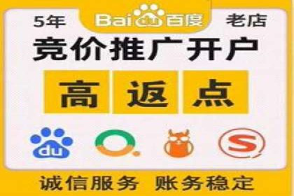 sem百度竞价实战：成功案例解析